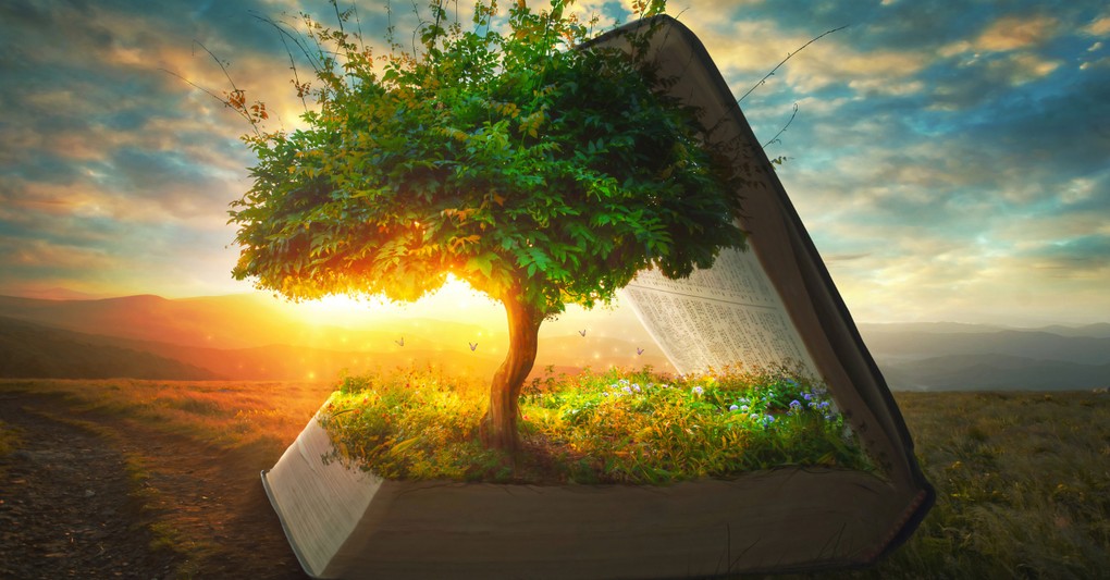 "set your minds on things above, not on earthly things