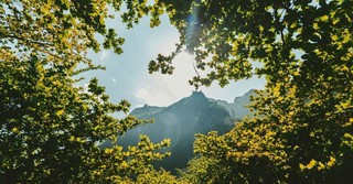 What Does it Mean to Fear God?