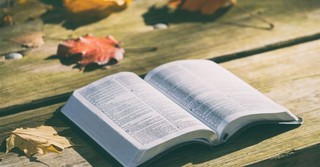 What We Can Learn From 1 Timothy 4:4-5 Today