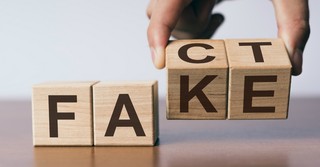 Blocks spelling fact/fake
