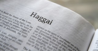 Bible open to Book of Haggai