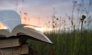 stack of bibles outdoors in wildflower field