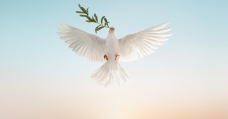 Why Does Paul Call God the "Lord of Peace"?