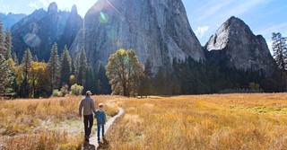 Finding Encouragement for Our Journey in the Psalms of Ascent