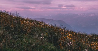 Meadow atop a mountain