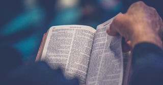 Bible reading