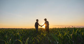 What Is the First Covenant?