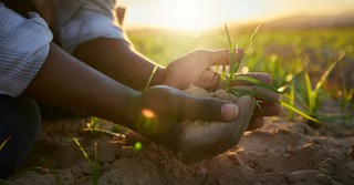farmer holding soil, good work