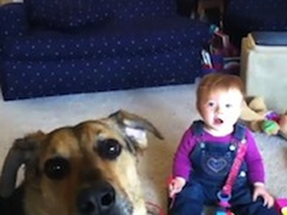Cute Baby Laughs at her Bubble Eating Dog