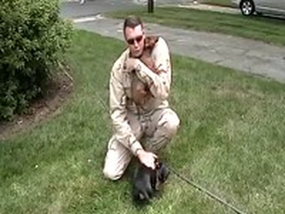 Soldier Reunites with his Very Excited Dachshunds