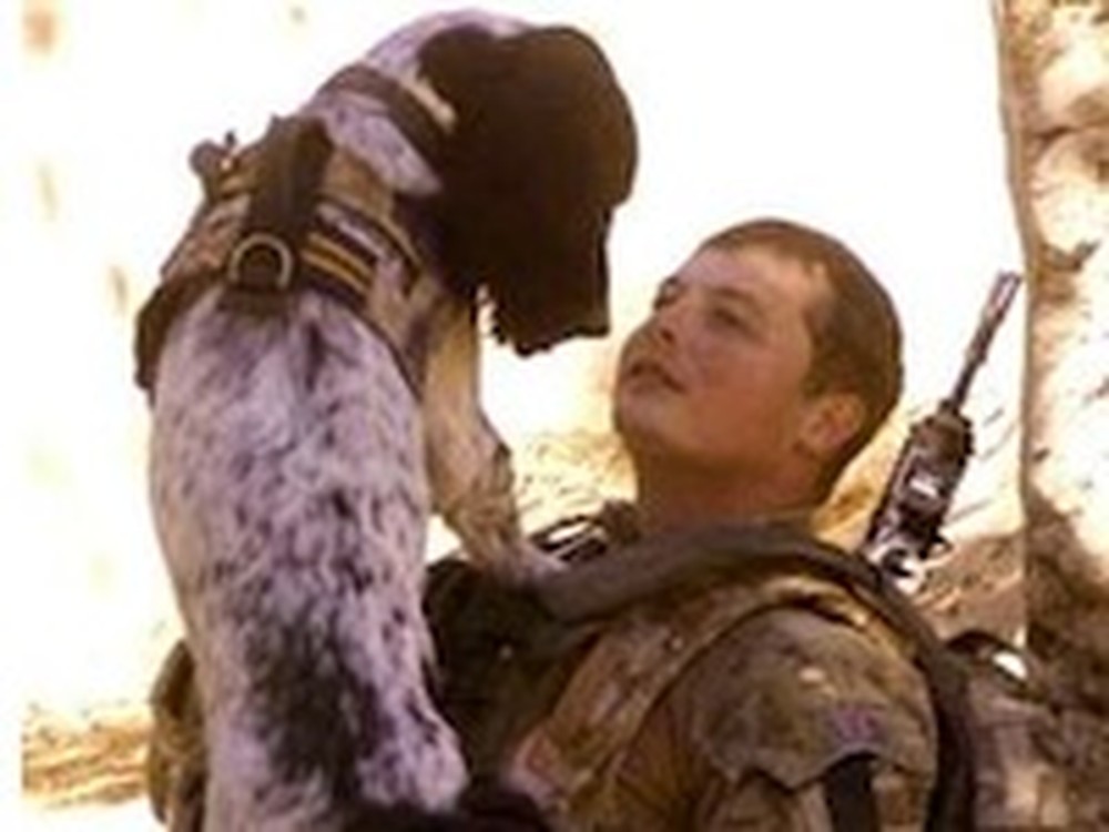 A Soldier and Dog Take their Final Journey Together