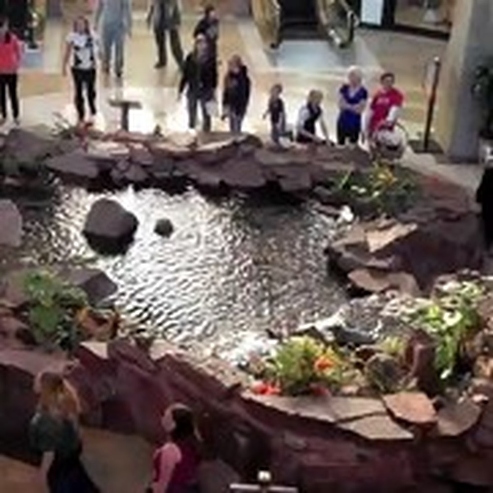 Christian Flash Mob Performs in the Middle of a Mall
