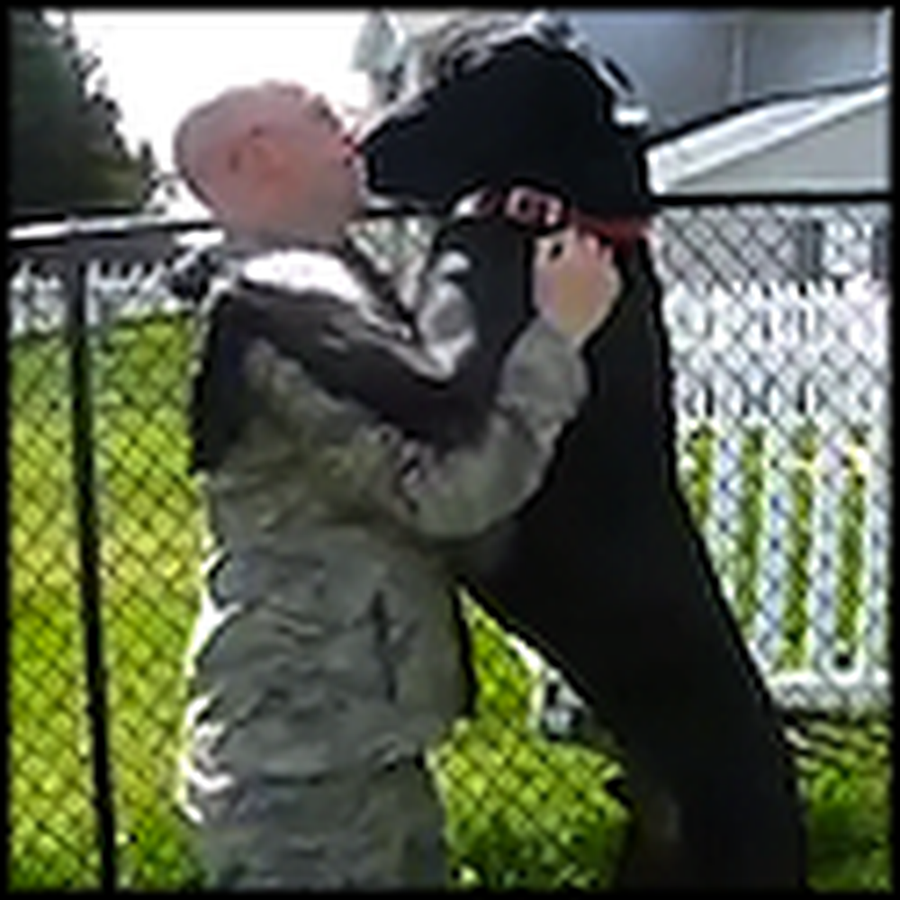 Great Dane Welcomes his Soldier Daddy Home from Iraq