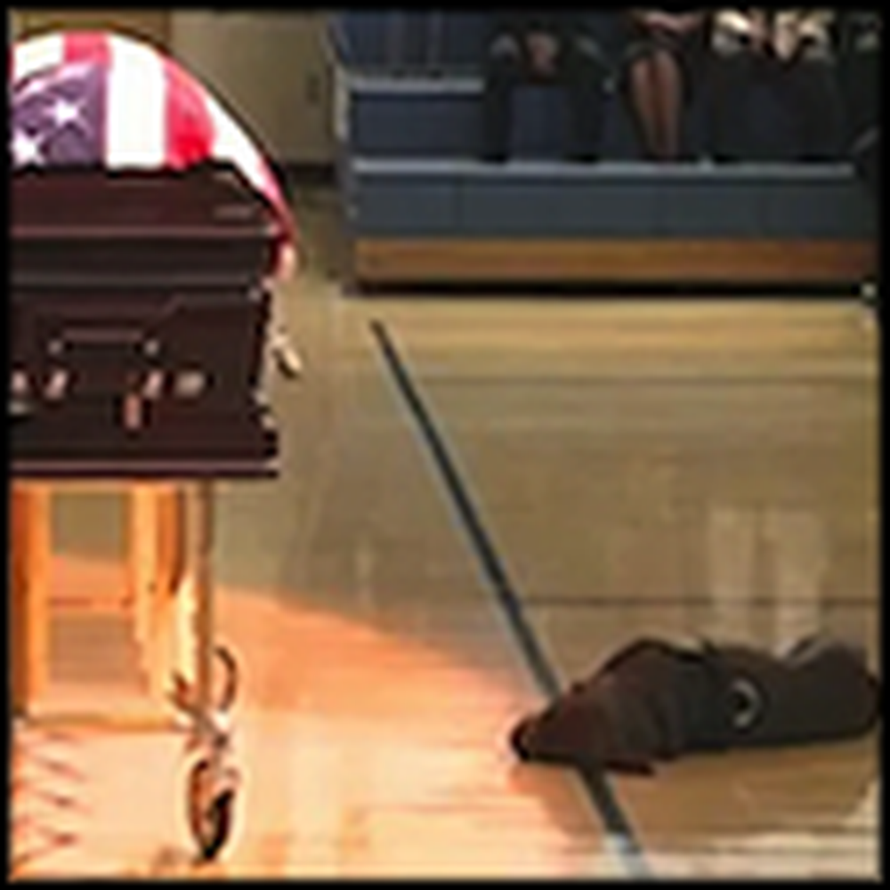 Dog Mourns the Death of a Fallen Navy Seal 