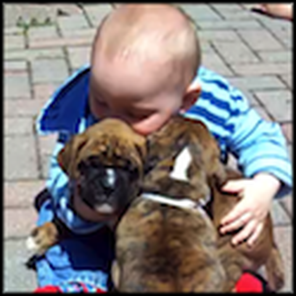 Baby and Two Puppies Will Absolutely Melt Your Heart