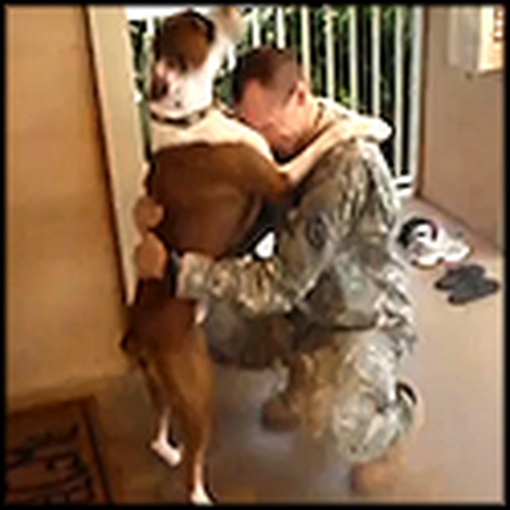 Dog Welcomes his Soldier Daddy Home with a Big Hug