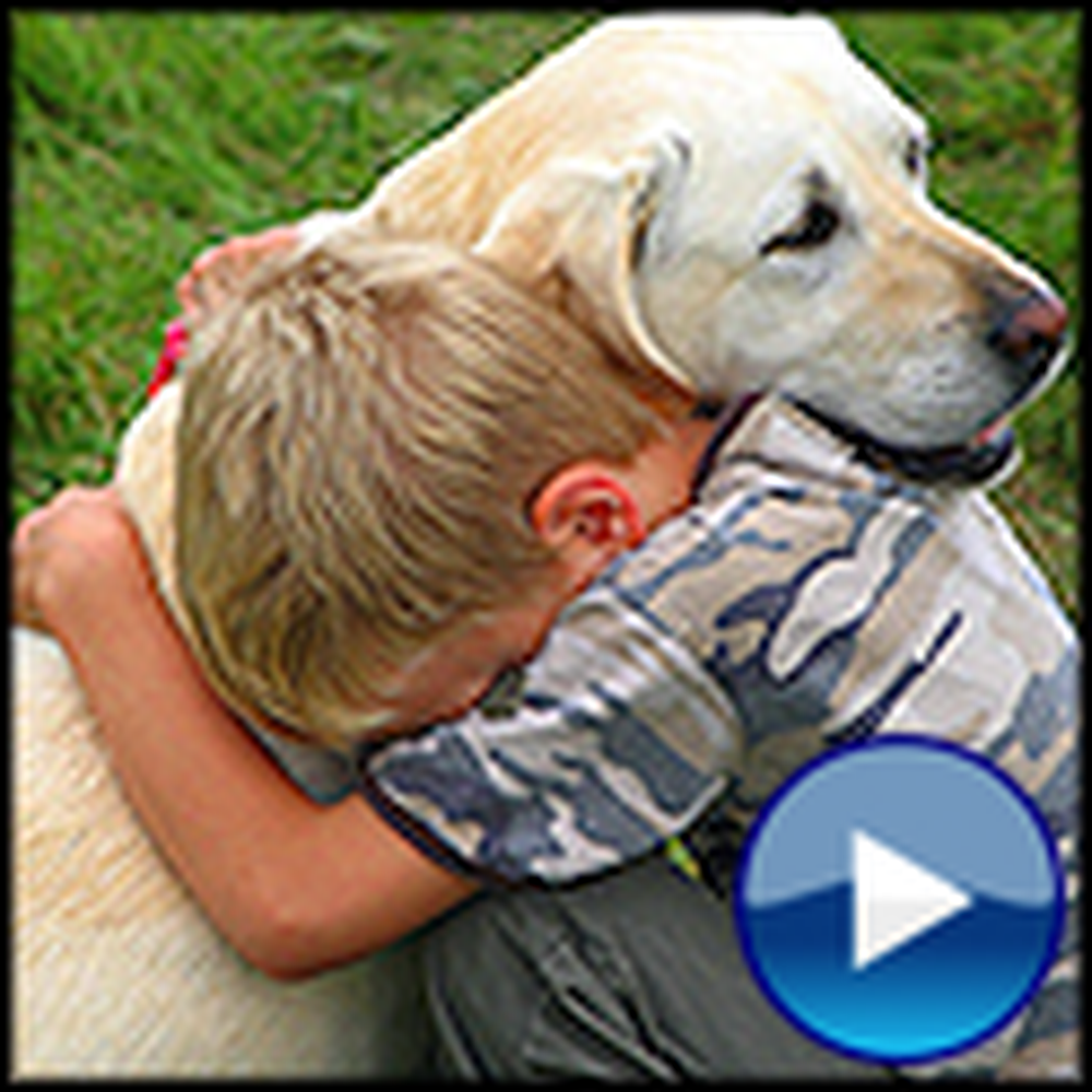 I Am An Animal Rescuer - a Touching Video for God's Creatures