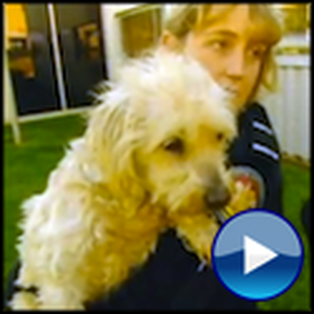 A Family's Dog Goes Missing for 9 Years - But Then Watch What Happens