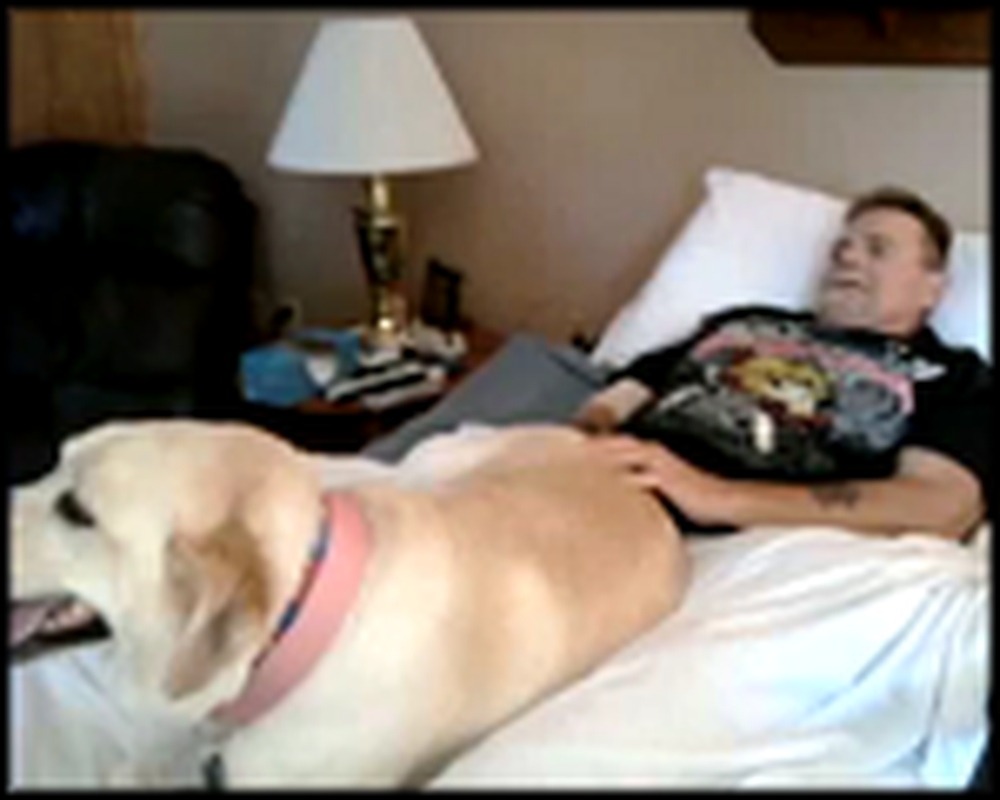 Dying Man Gets his Wish to Spend his Final Days with his Dog
