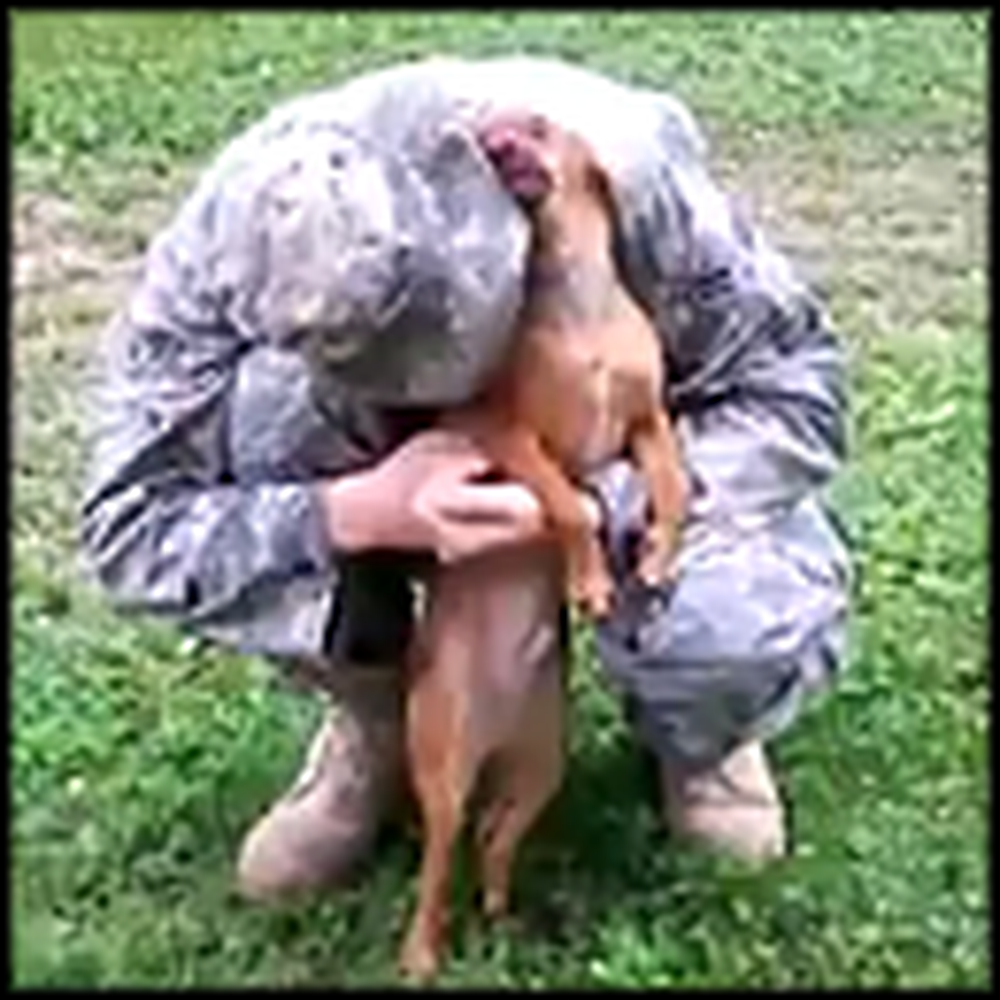 Puppy Welcomes Soldier Daddy Home with a Million Kisses