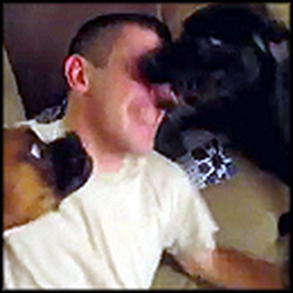 Three Dogs Go CRAZY Over Their Soldier Daddy Returning Home