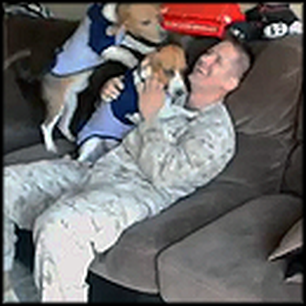 Two Beagles Cry Together Over Daddy Coming Home