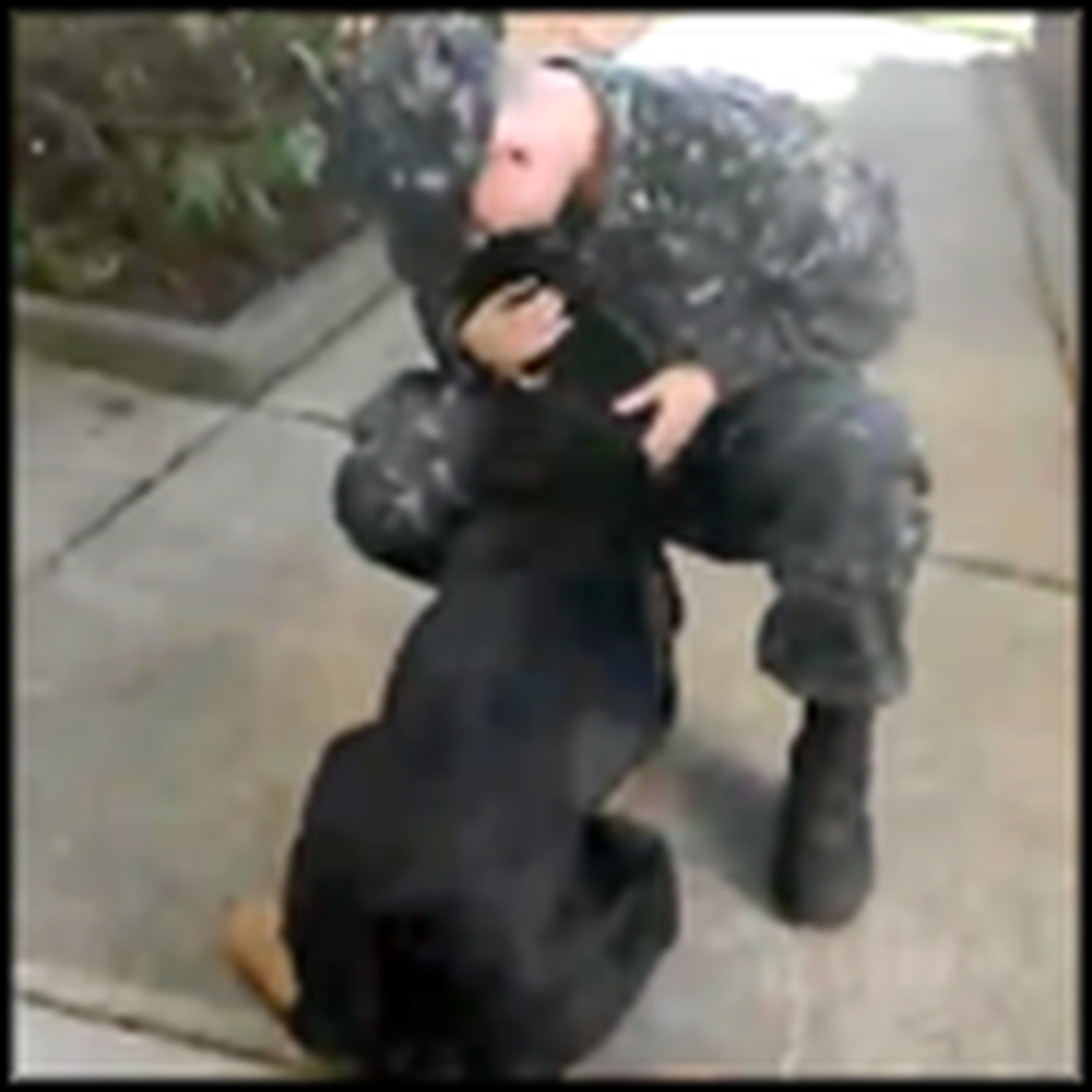 Huge Dog Gets Excited as a Puppy When Soldier Daddy Returns