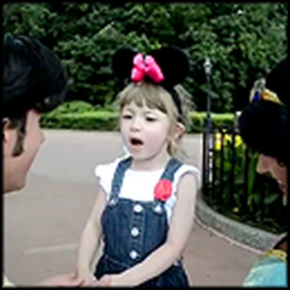 A Little Girl's Dream Comes True at Disneyworld