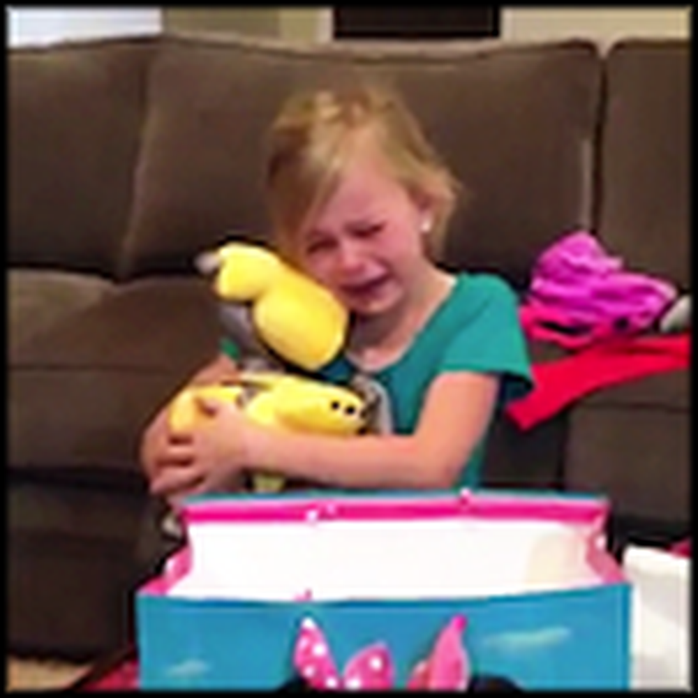 Little Girl Has the Most ADORABLE Reaction to a Birthday Gift