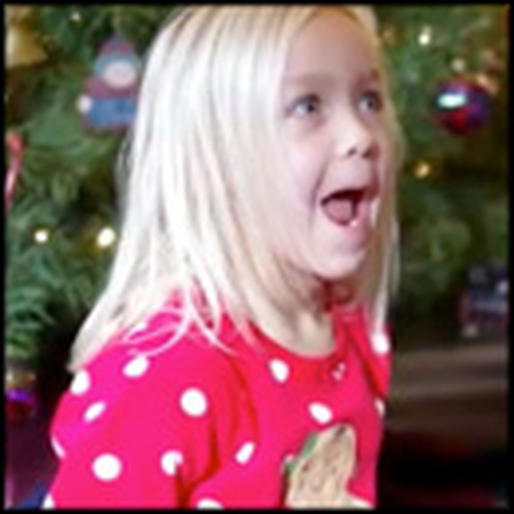 Little Girl Has The Cutest Reaction When She Finds Out Her Prayers Were Answered