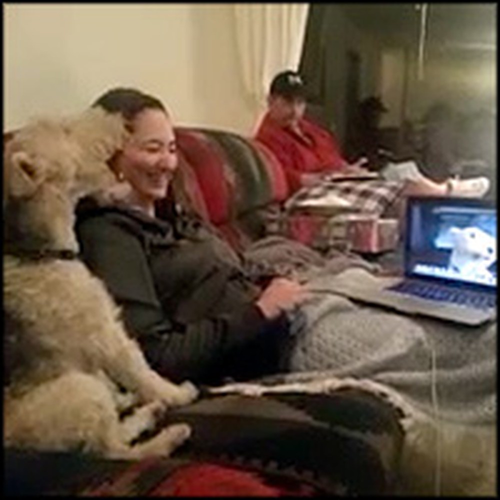 Smart Dog Can Video Chat With his Friend