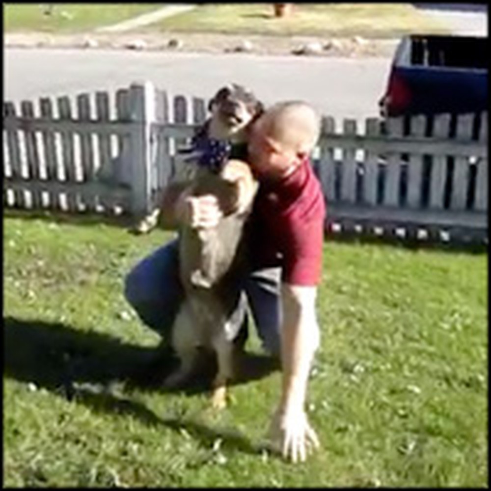 Dog Can't Contain Excitement When Soldier Returns Home