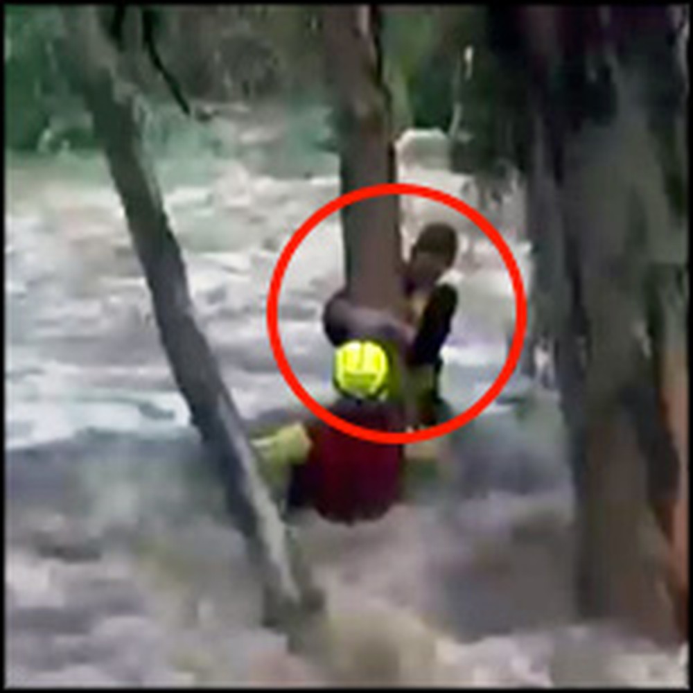 Boy Trapped by Violent Flood Waters Gets Rescued Just in Time