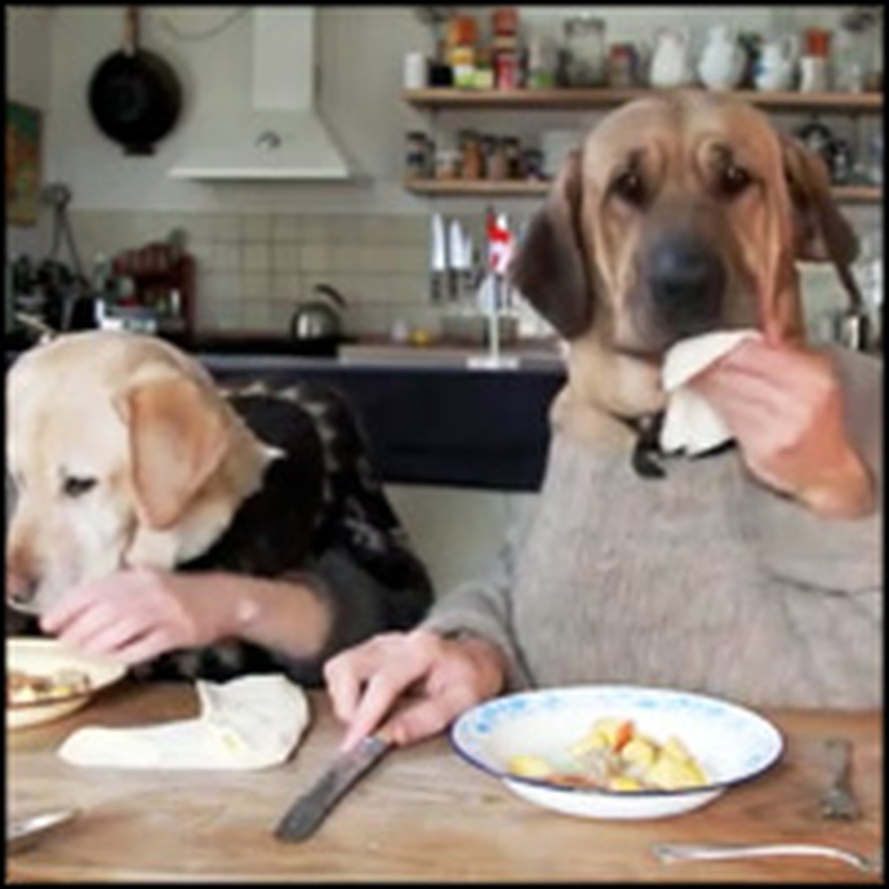 Adorable Canine Couple Have a Romantic Valentine's Day Dinner