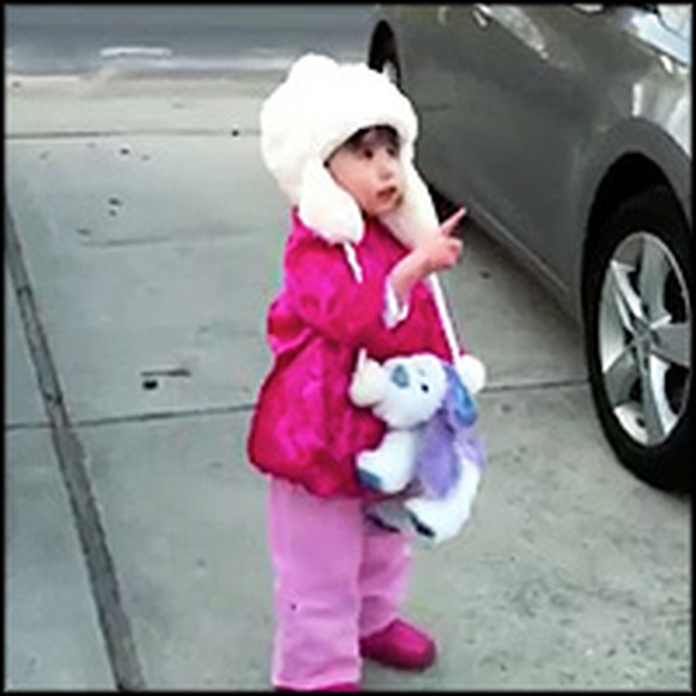 Sweet Little Girl Tries to Catch the Moon