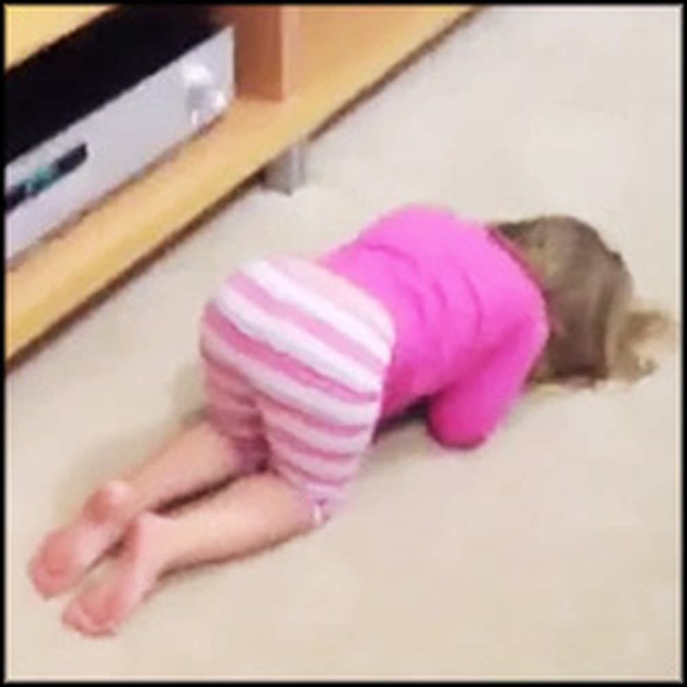Adorable Kids Try to Play Hide and Seek