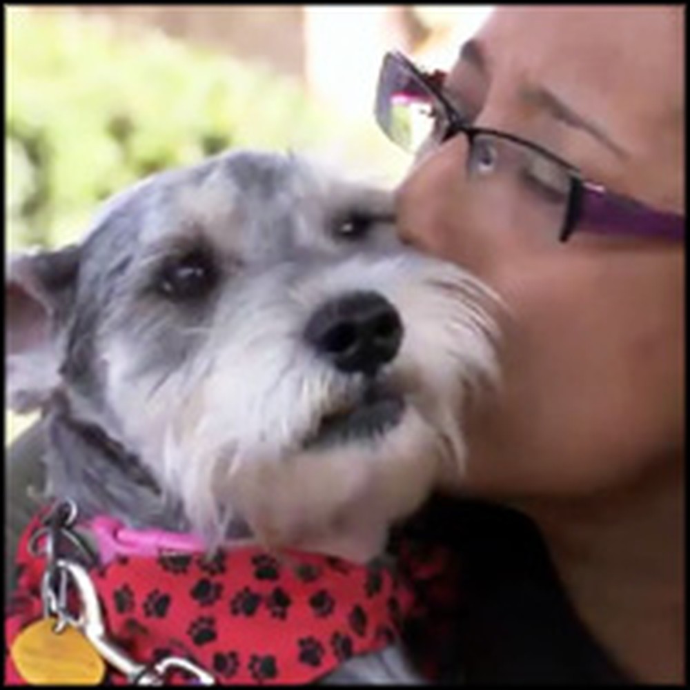 After 2 Years and 700 Miles a Dog is Emotionally Reunited with Her Owner