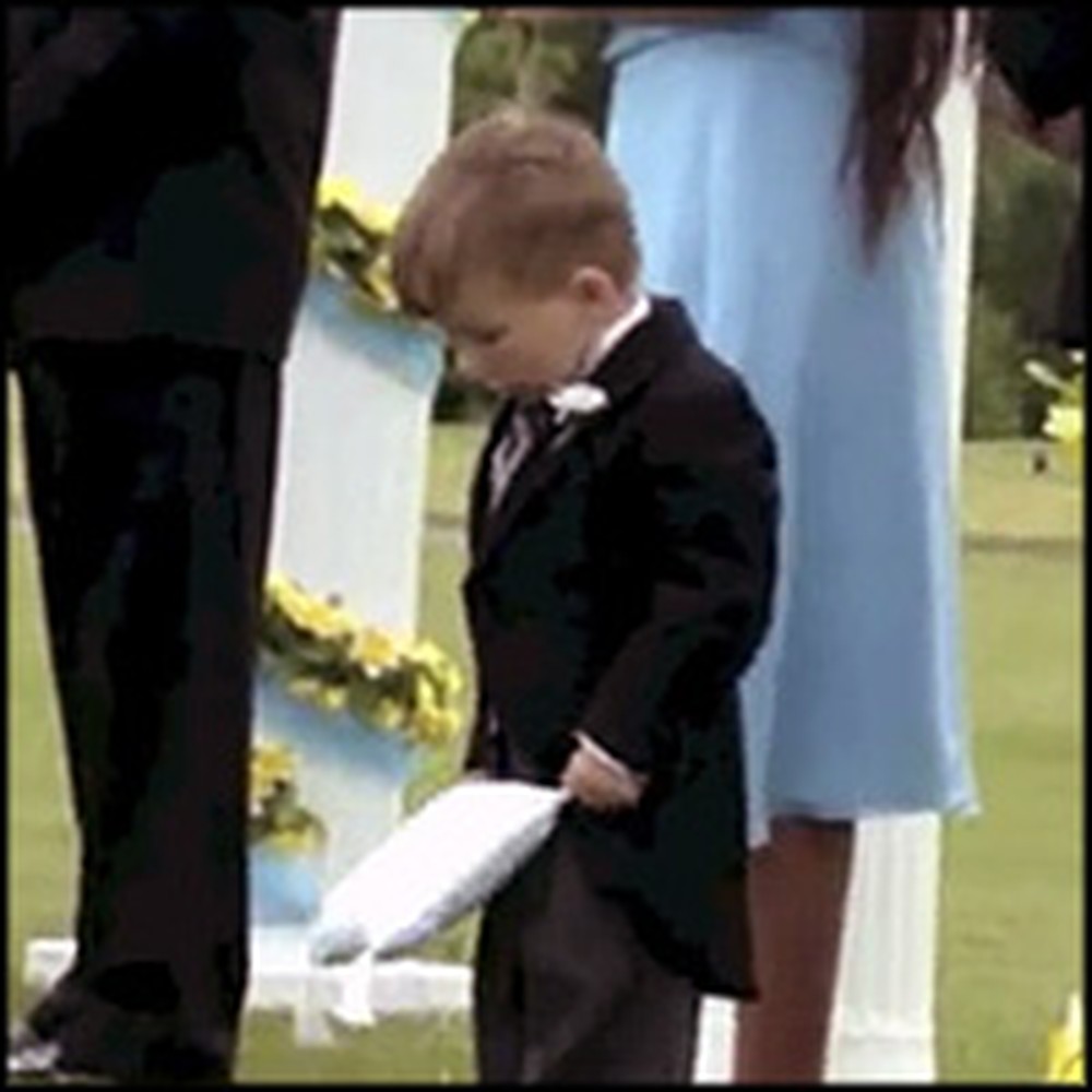 Compilation of the Funniest Ring Bearers at Weddings