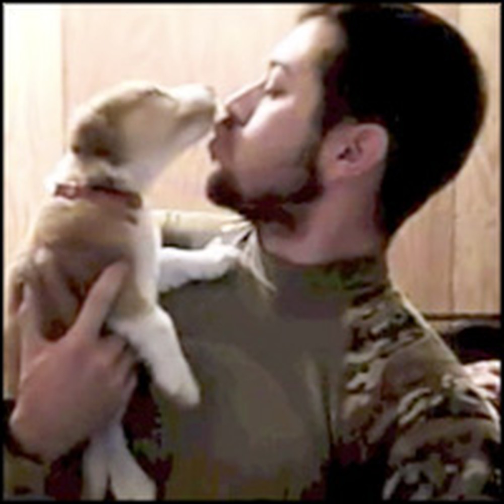Soldier Reunites With the Puppy He Saved From the Streets of Afghanistan