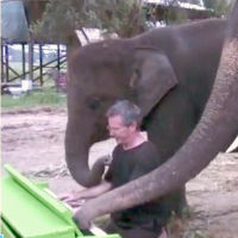 Peter the Elephant Discovers a Green Piano