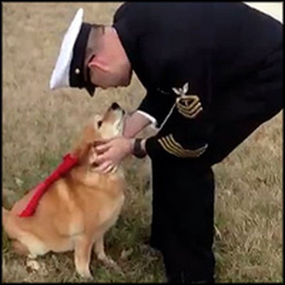 Dying Dog Hangs Onto Life to See Solider Daddy Home from Deployment