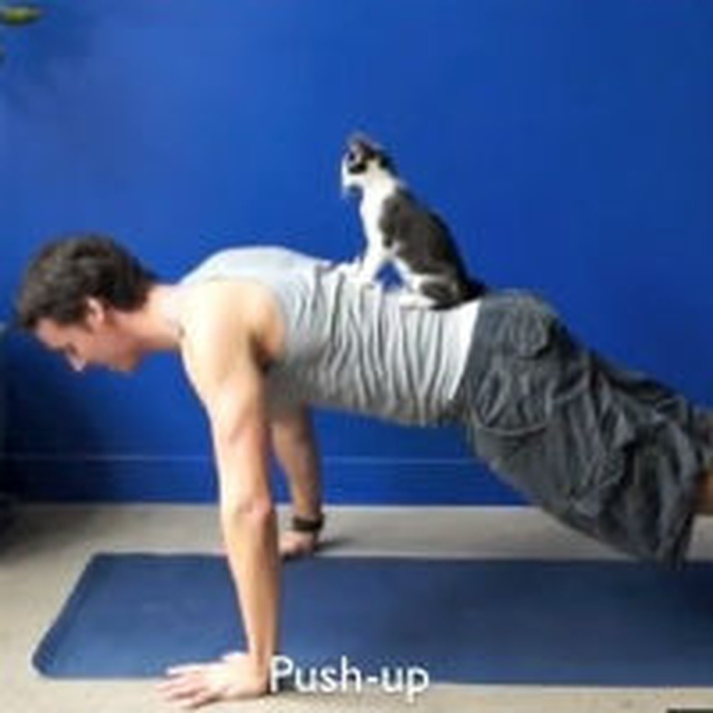 Guy Exercises With His Feline Friends