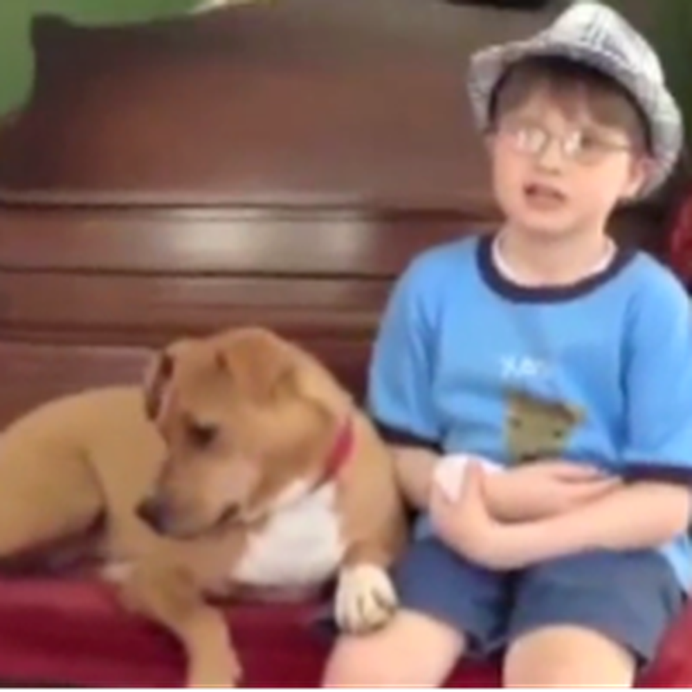 Severely Abused Dog and Autistic Boy Are a Match Made in Heaven