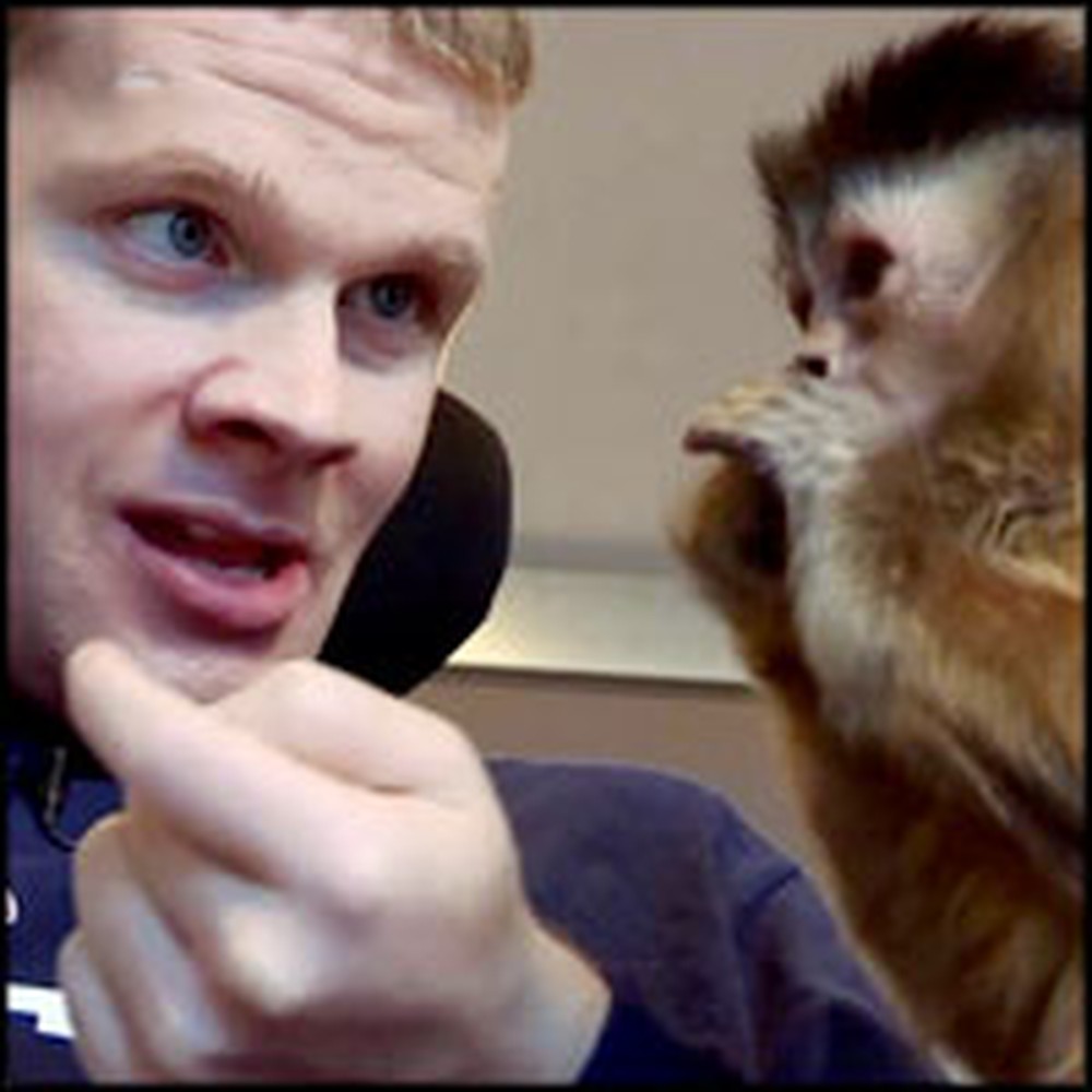 Amazing Monkey is a God-Send to a Young Man With Brain Trauma