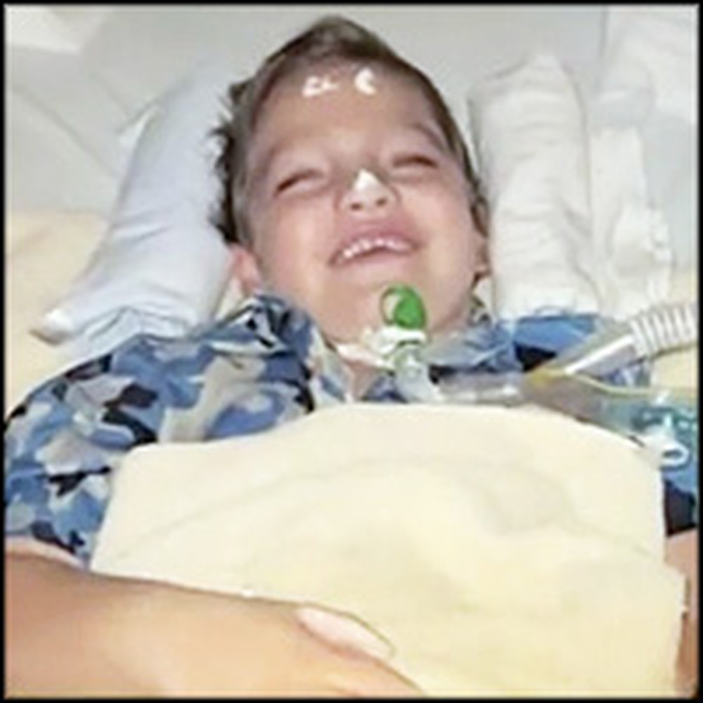 Boy Dies in Car Accident & Goes to Heaven - Then Tells the Amazing Story