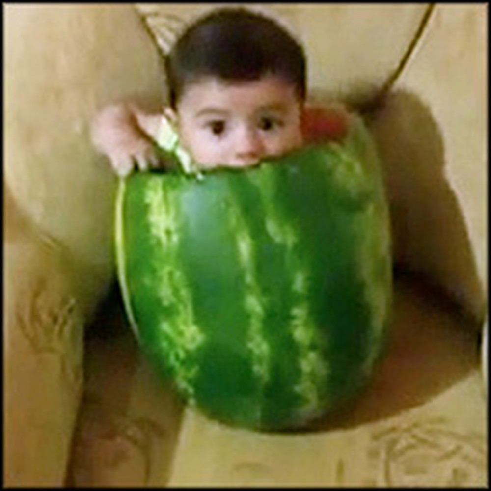 Sweet Baby Eats a Watermelon in the Funniest Way - From the Inside