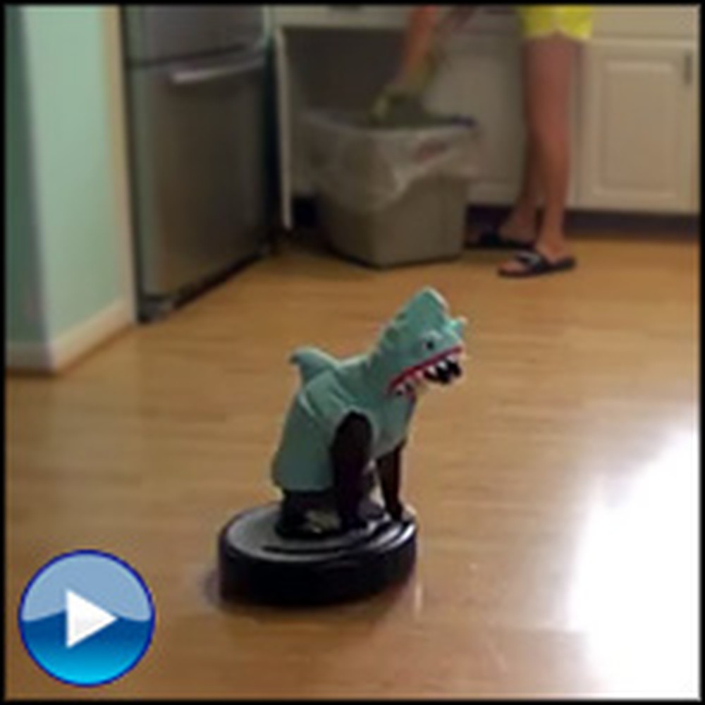 Hilarious Cat Dressed as a Shark Rides a Roomba - Too Funny