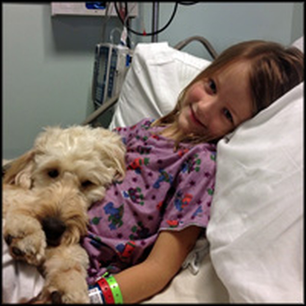 Heroic Dog Protects Girl From Deadly Allergy - an Adorable Dynamic Duo!