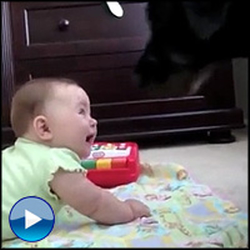 A Baby's Reaction to a Barking Dog is the Cutest Thing You'll See Today!