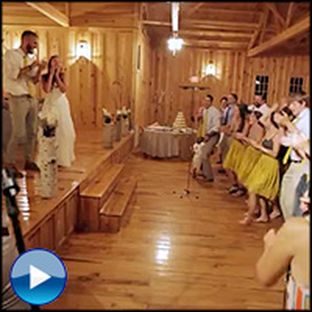 Bride & Groom Are Surprised by a HUGE Flash Mob They Never Saw Coming